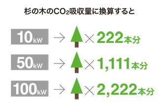 杉の木のCO2吸収量に換算すると、10kW 222本分、50kW 1,111本分、100kW 2,222本分